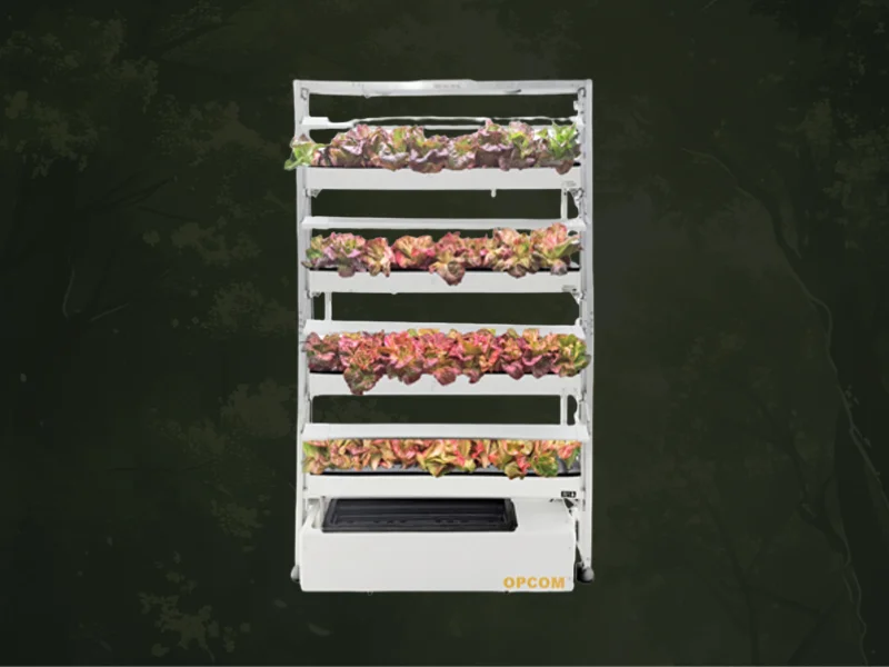 GrowWall (OFG003A)