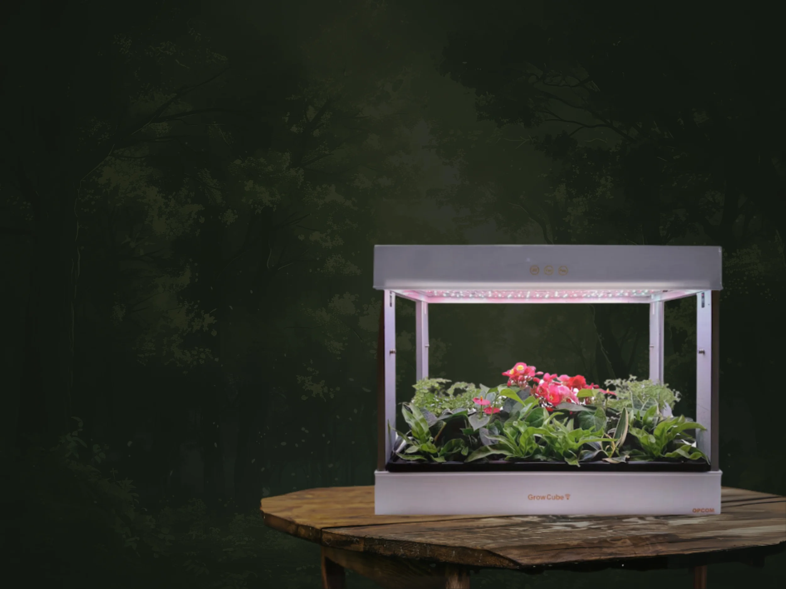 GrowCube (OFG011A)