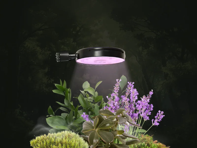 Microgreen Light (L09B)