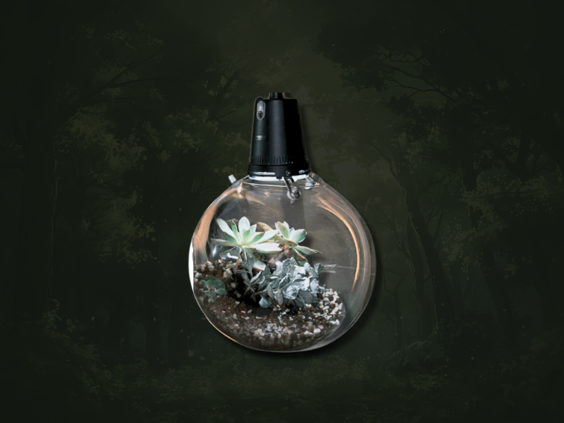 Microgreen Ball (OFG009-F)