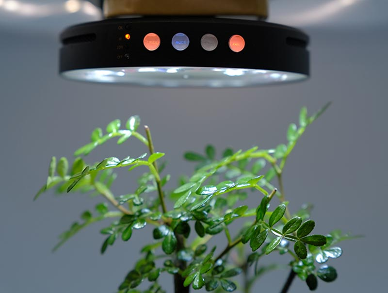 Magnet Grow Light Ceiling-L09C-F